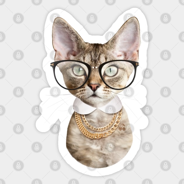 Smart kitty cat Sticker by Catcherry